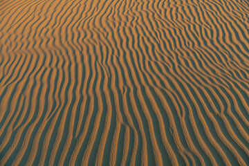Sand ripples in the sand dunes of the Tenere Desert, Sahara, Niger, Africa