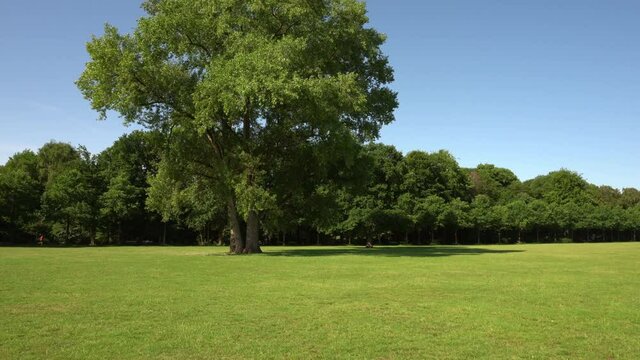 Hamburg Stadtpark im Sommer mit Blick auf das Planetarium