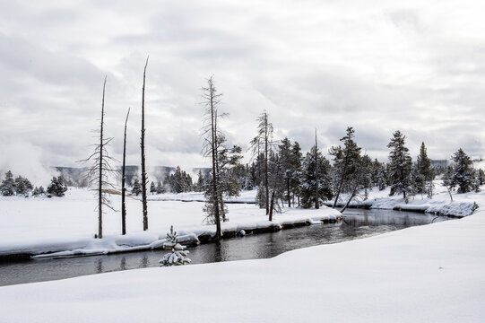 Snowscape of winding river and trees, Yellowstone National Park, UNESCO World Heritage Site, Wyoming, United States of America, North America