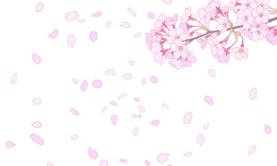 Fototapeta na wymiar 桜のイラスト　背景素材　