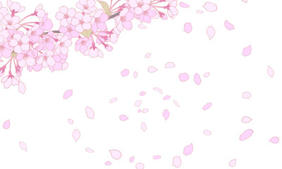 桜のイラスト　背景素材　