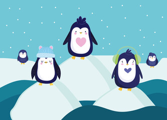 penguins winter scene