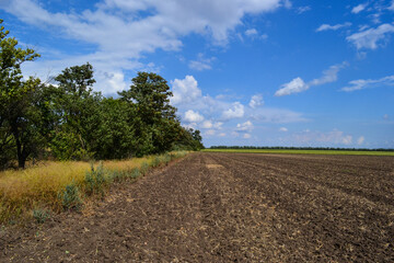 road in the field