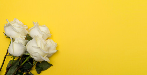 ostcard. White roses on a yellow background. Banner. Congratulations on March 8, Valentine's Day, Mother's Day, Birthday, Anniversary, Easter, Wedding, Teacher's Day, to women.copy space, mock up.