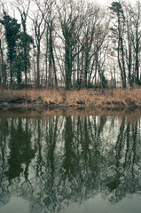 Trees reflecting in a green river, abstract symmetry, Bavaria, Germany, Europe