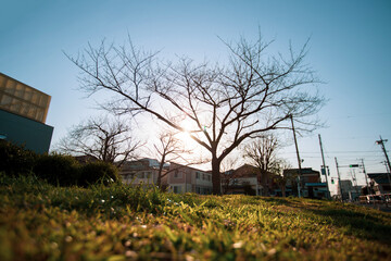 Obraz premium sunset in the city