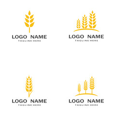Agriculture wheat vector icon design
