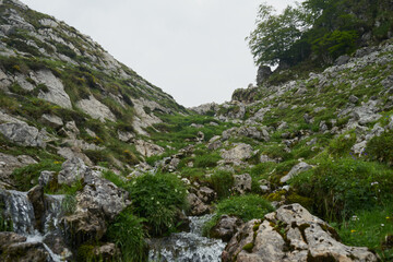mountain landscape in the mountains
