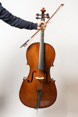 Fototapeta premium young man playing cello on the white background