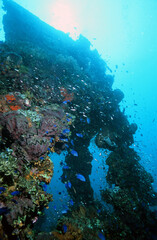 Japanese Shipwreck Truk Chuuk Lagoon, Diving Outside the Wheelhouse in Micronesia with a Sunburst Behind the Structure and Coral Growing on the Side © Gary Peplow