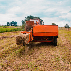 Obraz premium The tractor collects dry hay in the field, the hay presses the bale press, work in the field.
