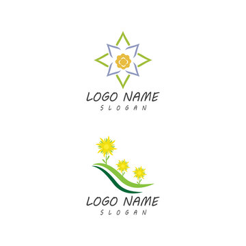 Edelweiss Logo Template vector symbol nature