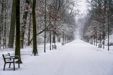 bench in the snow