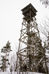 High wooden observation tower in a pine forest. Winter landscape. Latgale, Latvia. Cloudy sky.