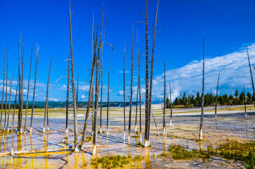 Yellowstone, United States