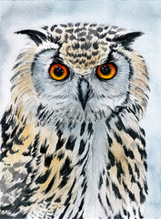 Watercolor illustration of an owl with spotted contrasting white and black feathers and bright amber yellow eyes