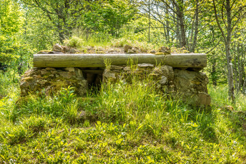 Ehemaliger Kriegsschauplatz Hartmannswillerkopf