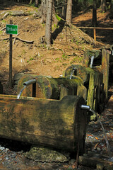 Small Forest Stream On BleÃŸberg, Thuringia, Germany