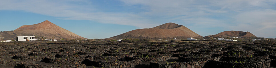 Wine-growing Region Of La Geria, Lanzarote, Spain