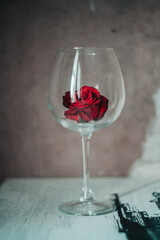 rose in a glass