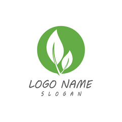 Leaf icon Vector Illustration design Logo template