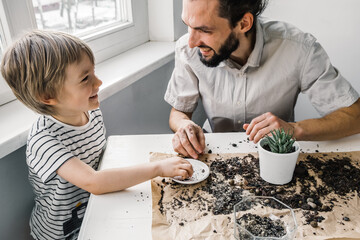 Young father and little boy transplanting houseplant new big flowerpot. Fortunella. Home gardening and eco family hobby concept