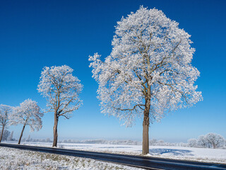 Winterlandschaft