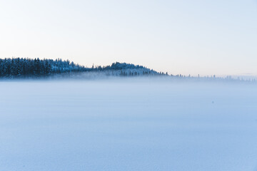 Beautiful blue winter blurred snow background with free space for your text. Winter background, winter landscape with copy space. Foggy winter morning. Frosty haze. Snowy forest on the horizon.