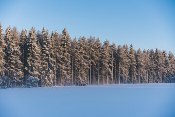 Winter Christmas idyllic landscape. White trees in forest covered with snow, nature outdoors. Splendid Christmas scene in the fabulous forest. White snows covers ground and trees. Majestic atmosphere.