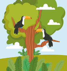 Animals toucan tree