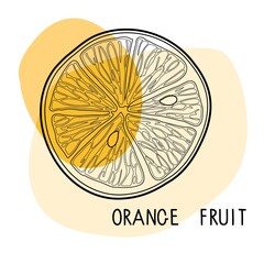 Orange fruit sketch isolated and handwritten lettering on white background. Exotic tropical fruit vector drawings. Doodle Outline vector illustration. Slice orange, citrus slices. Fruits illustration