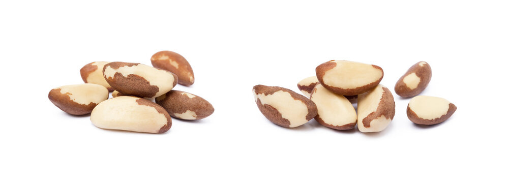Para nuts isolated on a white background