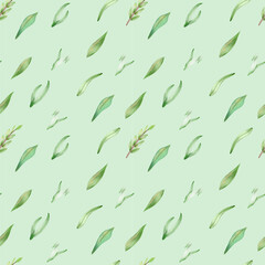 
Hand drawn watercolor  spring young Green floral grass leaf seamless pattern with leaf background design. Nature in cartoon cute style.