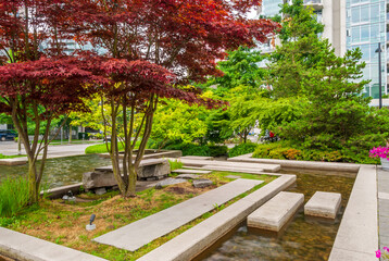 A perfect water landscape with nice pond, flowers and rocks.