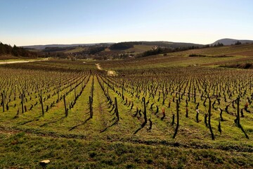 Paysage dans la Côte Chalonnaise.