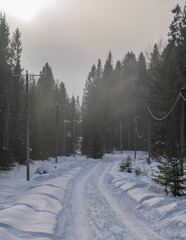 snow road with phone and power lines