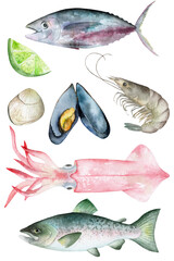Watercolor set of drawings of tuna, salmon, squid, shrimp, mussels