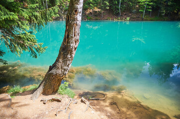 Colorful Janowickie lakes on a sunny summer day