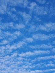 blue sky with clouds