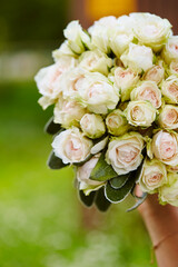 bride holding bouquet of flowers