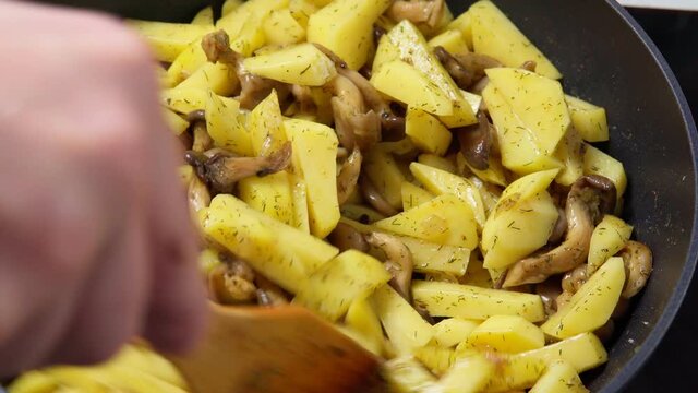 delicious cooked fried shitake mushrooms in a frying pan. Fried oyster mushrooms with potatoes in a frying pan