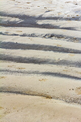 Wet sand at low tide