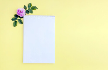 a paper notebook and a garden rose bud on a yellow background. mock up