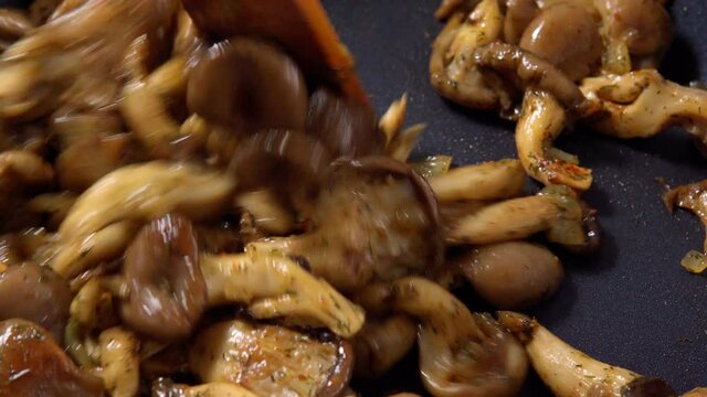cooking fried mushrooms close-up. selective focus. oyster mushrooms