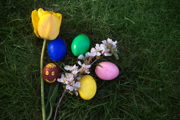 Fototapeta na wymiar Easter, holidays and tradition concept. Colorful Easter eggs with painted smile and blossom yellow tulip on grass background.