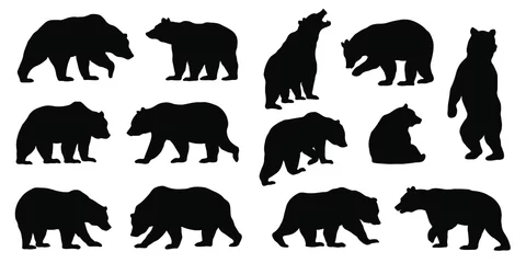 Foto op Canvas various bear silhouettes on the white background © jan stopka