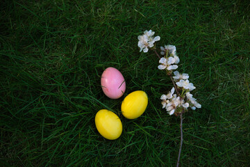 Fototapeta premium Easter, holidays and tradition concept. Colorful Easter eggs painted in pastel colors on grass background with blossom cherry.