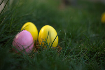 Easter, holidays and tradition concept. Colorful Easter eggs painted in pastel colors on grass background.
