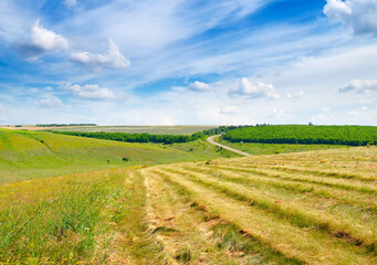 Scenic landscape of farm field.