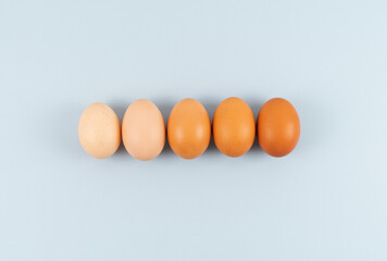 Eggs of different shades of color in a row on a blue background. Copy space.